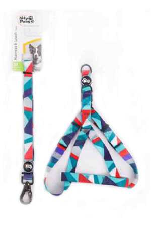 Ally Paws Harness & Leash Tape Göğüs Tasması ve Gezdirme Kayışı Medium 2cmx120cm - Thumbnail