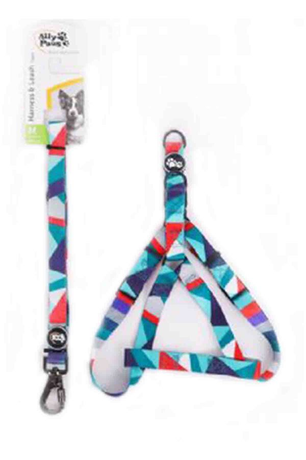 Ally Paws Harness & Leash Tape Göğüs Tasması ve Gezdirme Kayışı Medium 2cmx120cm