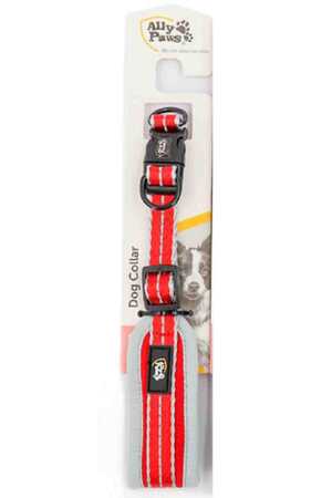 Ally Paws Dog Collar Köpek Boyun Tasması Small 1,5cmx25-40cm - Thumbnail