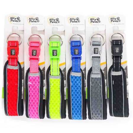 Ally Paws Dog Collar Köpek Boyun Tasması Medium 2cmx35-50cm - Thumbnail