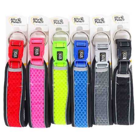 Ally Paws Dog Collar Köpek Boyun Tasması Large 2,5cmx40-60cm - Thumbnail