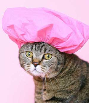 kedi bebek şampuanı ile yıkanır mı
