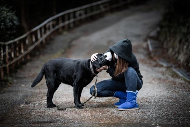 Köpeklerde Ölümcül Kanlı İshal (Parvovirüs) Belirtileri ve Tedavisi