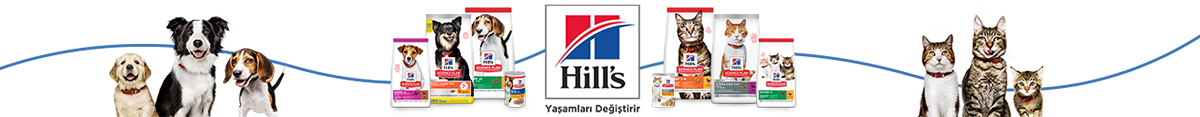 Hill's yaşamları değiştirir