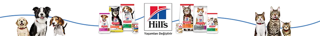 Hill's yaşamları değiştirir