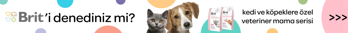brit kedi ve köpek maması markasını denediniz mi?