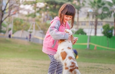 Çocuk Dostu Köpekler Hangileridir