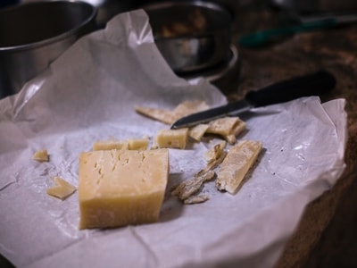 peynir-kopekler-icin-zehirli-midir