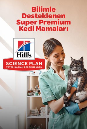 Hills Süper Premium Kedi Mamaları