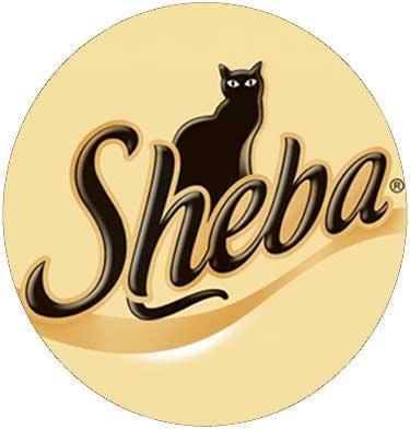 SHEBA