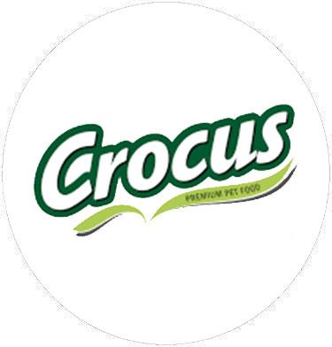 CROCUS