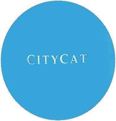 CITY CAT