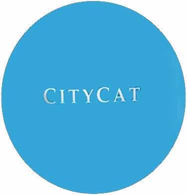 CITY CAT