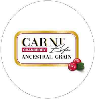 CARNI