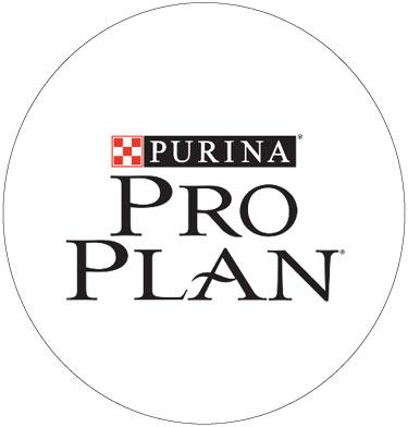 PROPLAN