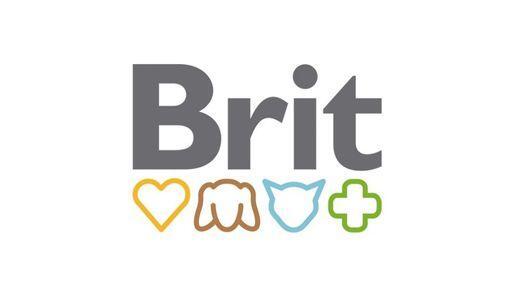 BRIT - logo