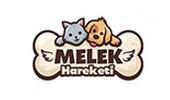 Melek Hareketi