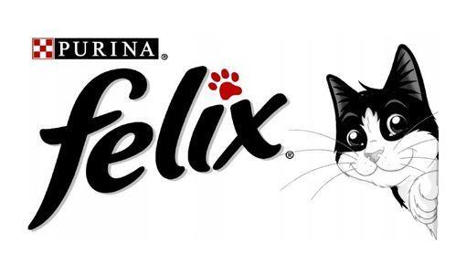 FELIX
