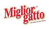 MIGLIOR GATTO