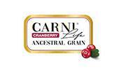 CARNI - logo