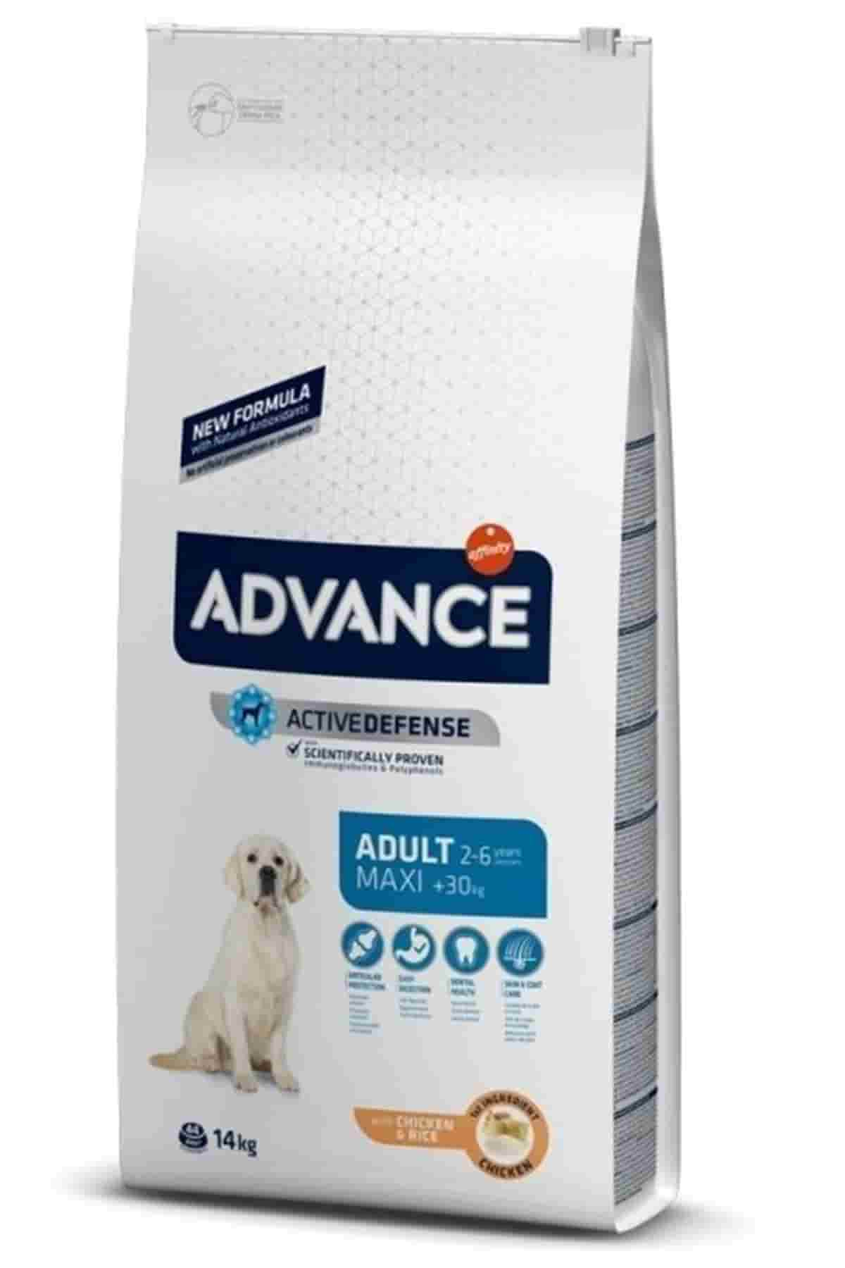 Advance Adult Maxi Tavuklu Büyük Irk Yetişkin Köpek Maması 14kg