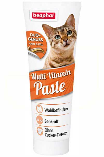 Beaphar Paste Duo Active Multi Vitamin Kedi Macunu 100gr