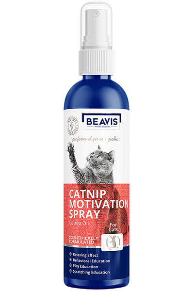 Beavis Catnip Motivation Spray Kediler için Oyun Spreyi