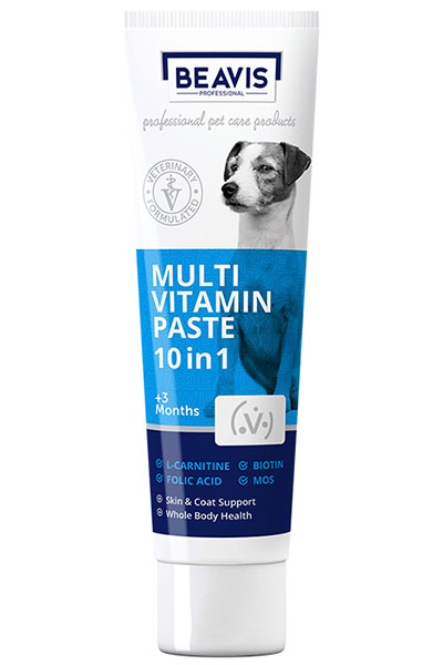 Beavis Yetişkin Köpekler İçin Multi Vitamin Paste 10in1 100ml