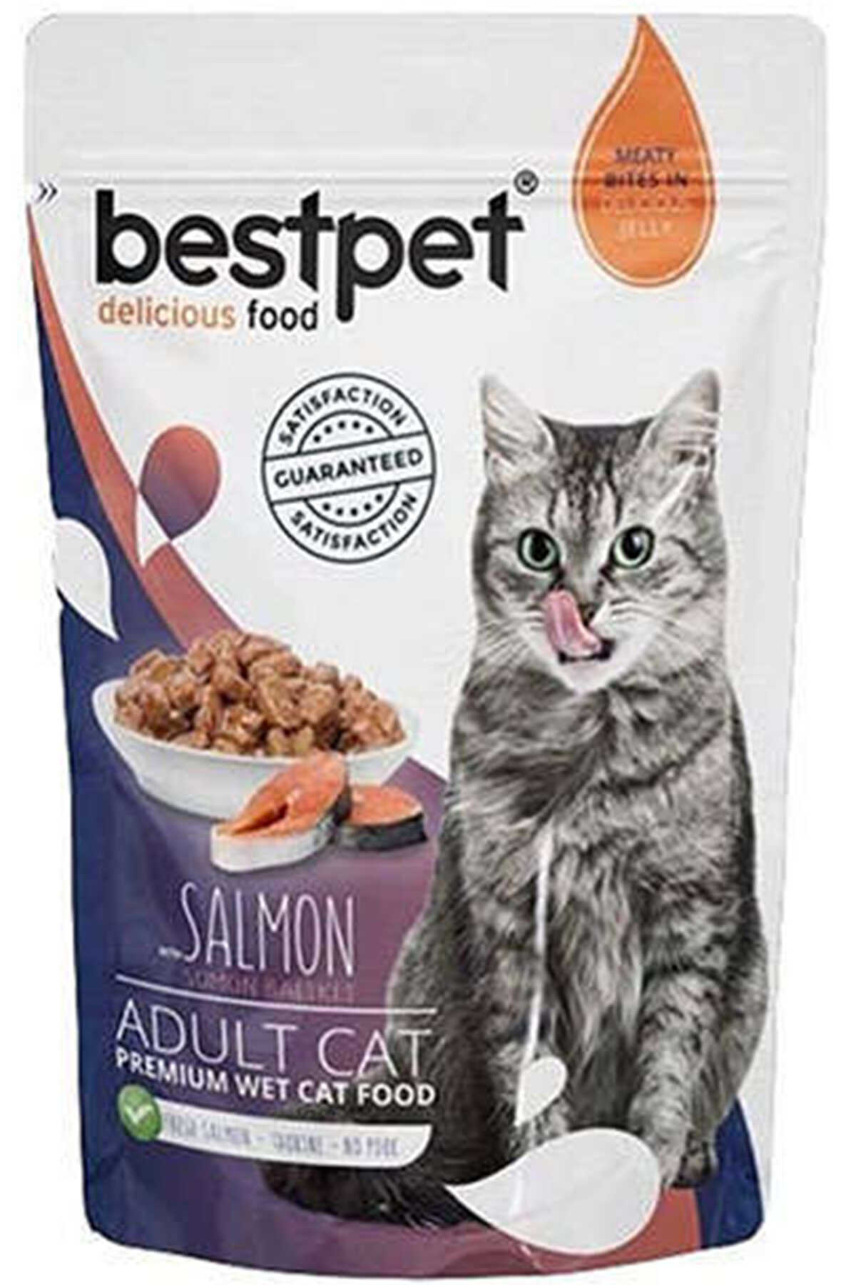 Bestpet Somonlu Kedi Konservesi 85gr