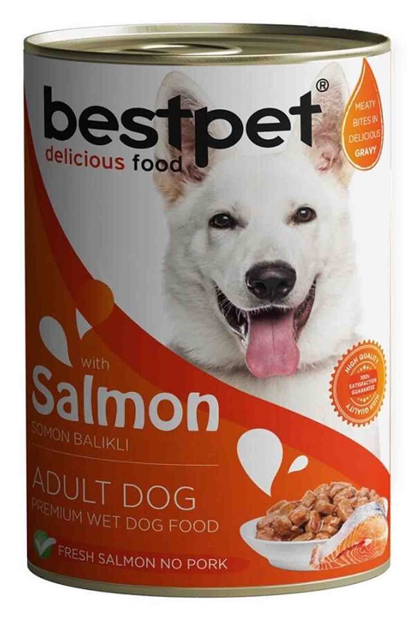 Bestpet Somonlu Yetişkin Köpek Konservesi 400gr