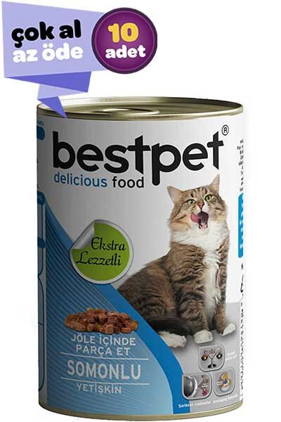 Bestpet Somonlu Yetişkin Kedi Konservesi 10x400gr (10lu)