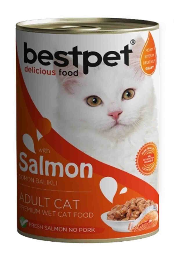Bestpet Somon Balıklı Yetişkin Kedi Konservesi 400gr