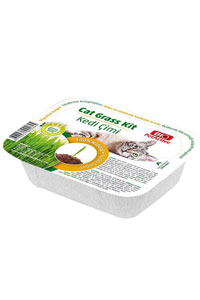 Bio PetActive Grass Kit Naturel Kedi Çimi - Thumbnail