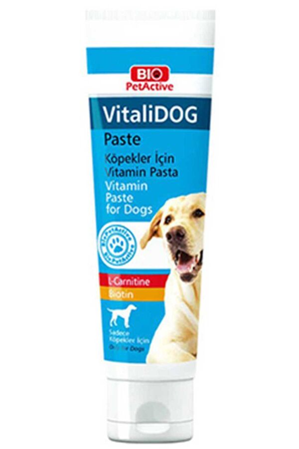 Bio PetActive Vitalidog Paste Yetişkin Köpekler İçin Vitamin Macun 100ml