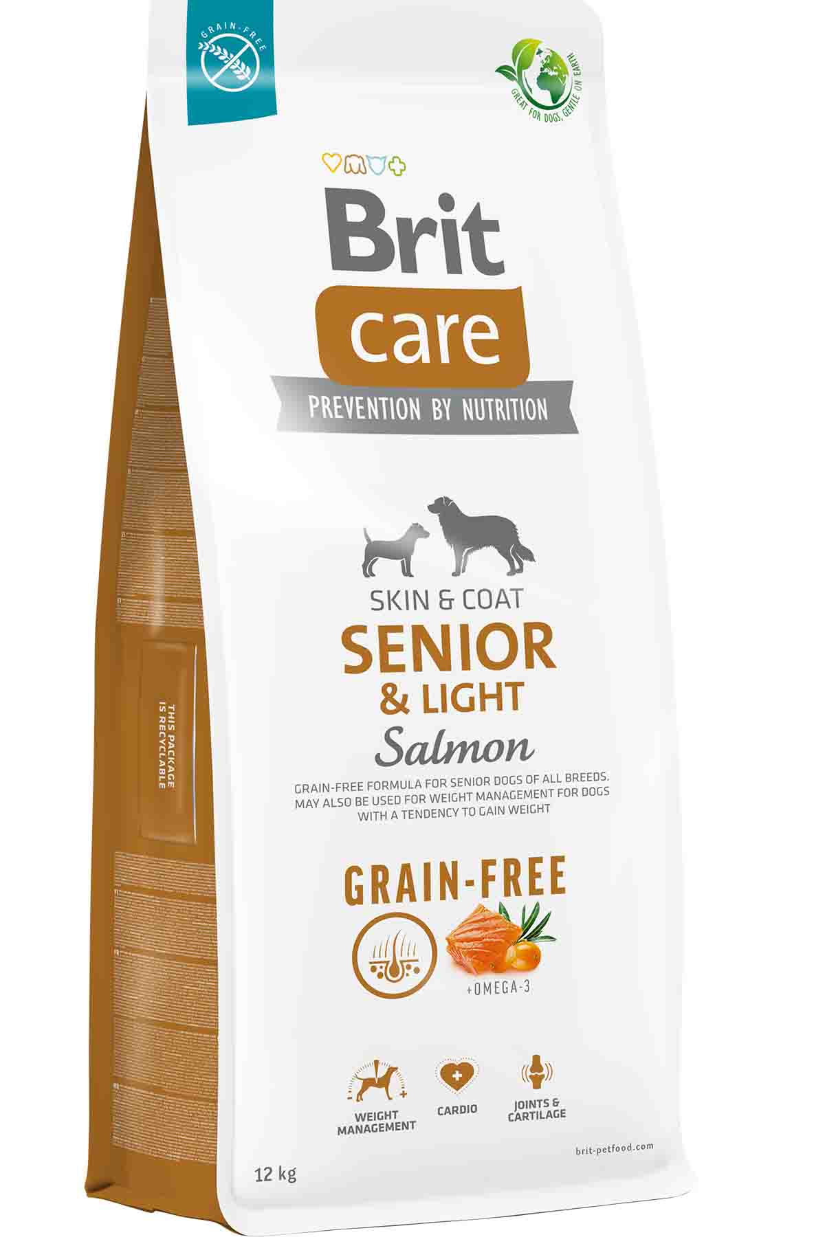 Brit Care Skin&Coat Somonlu Senior Light Tahılsız Köpek Maması 12kg