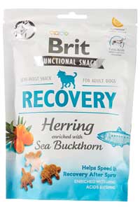 BRIT - Brit Recovery Ringa Balıklı Köpek Ödül Maması150gr