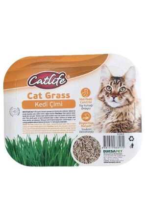 CATLIFE - Catlife Kedi Çimi