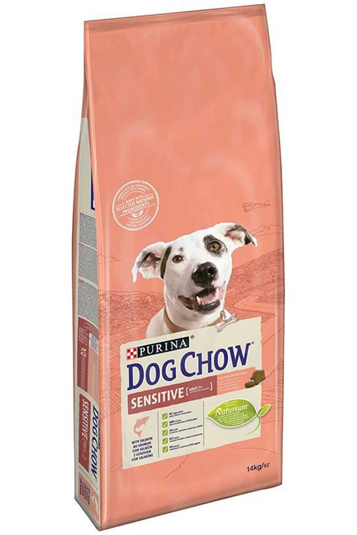 Dog Chow Hassas Köpekler için Somonlu Yetişkin Köpek Maması 14kg