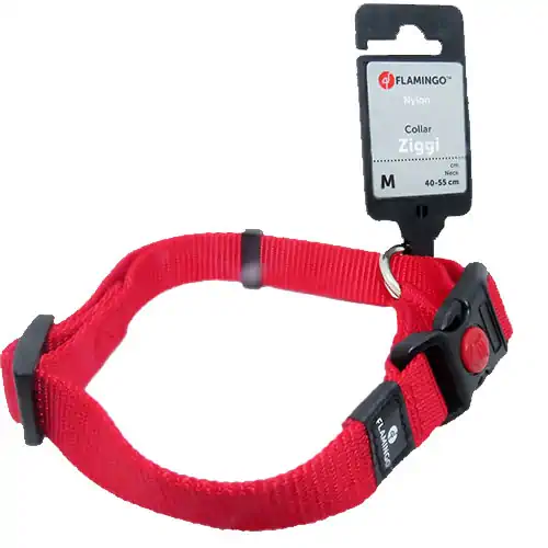 FLAMINGO - Flamingo ASP Köpek Boyun Tasması Kırmızı 40-55cm (M)