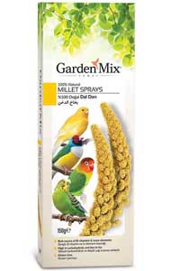 GARDEN MIX - Gardenmix Platin Sarı Dal Darı
