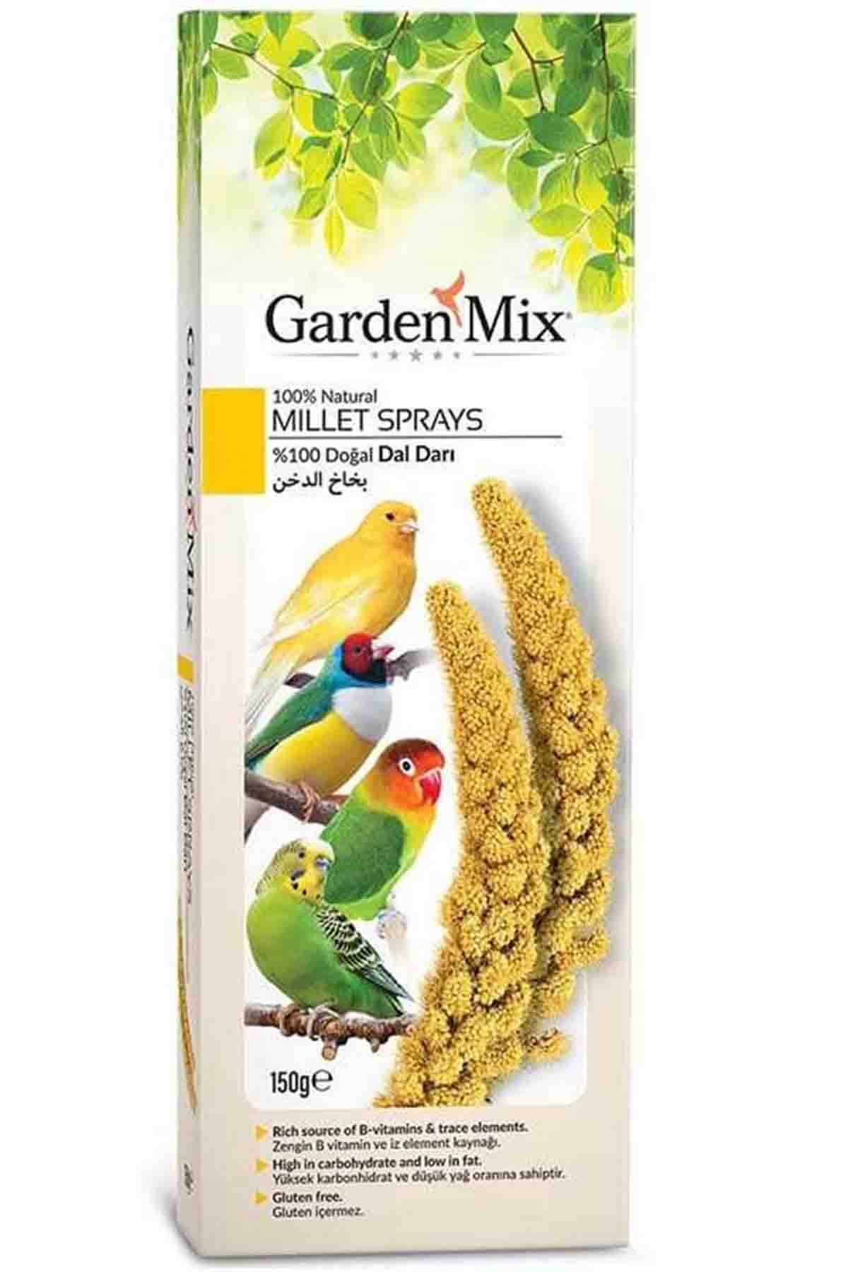 Gardenmix Platin Sarı Dal Darı