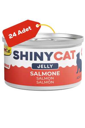 Gimcat Shinycat Jelly Somon Balıklı Kedi Konservesi 70gr 24lü - Thumbnail