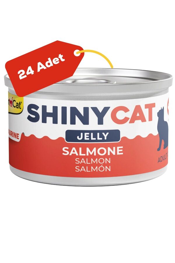 Gimcat Shinycat Jelly Somon Balıklı Kedi Konservesi 70gr 24lü