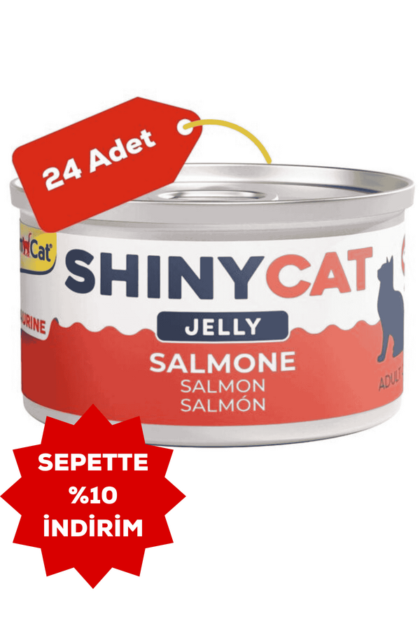 Gimcat Shinycat Jelly Somon Balıklı Kedi Konservesi 70gr 24lü