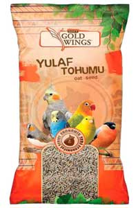 GOLD WINGS - Gold Wings Yulaf 300 gr