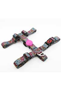 TAILPETZ - Tailpetz Grafiti Harness H Tipi Köpek Tasması L