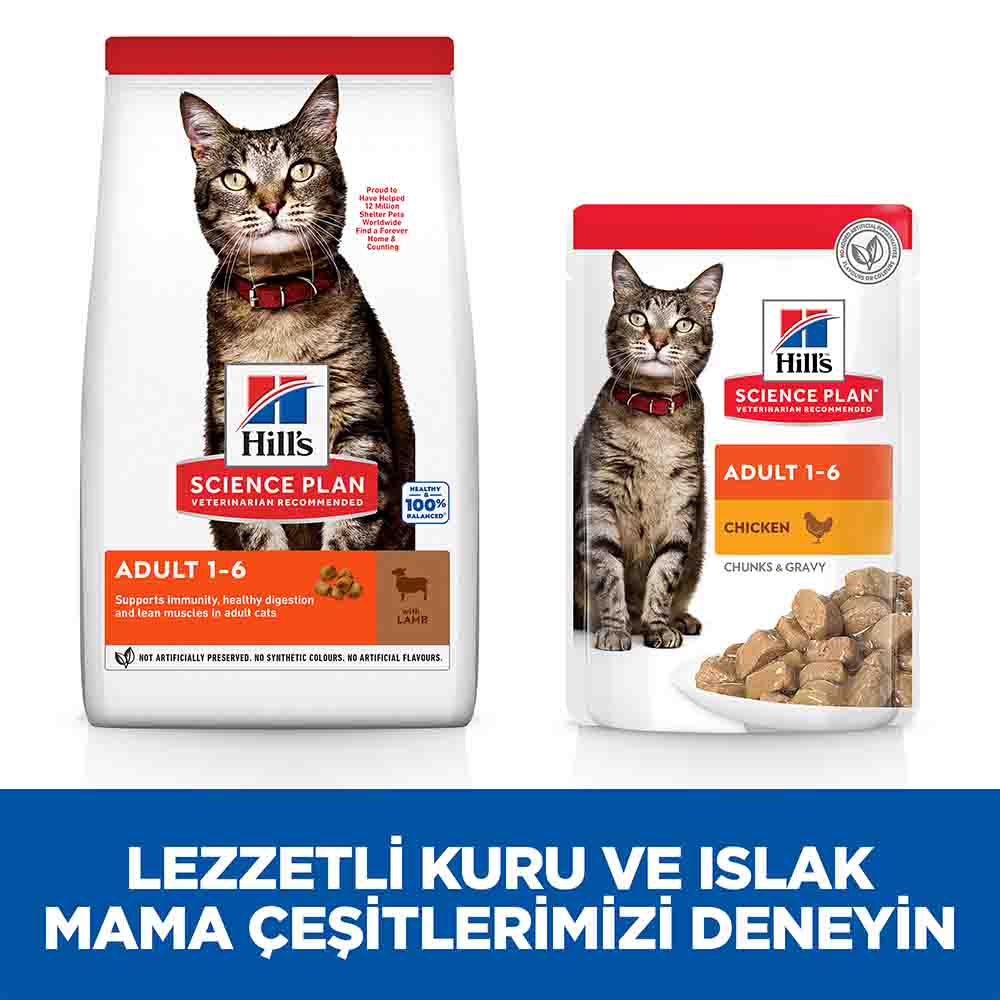 Hills Adult Kuzu Etli Yetişkin Kedi Maması 1,5kg