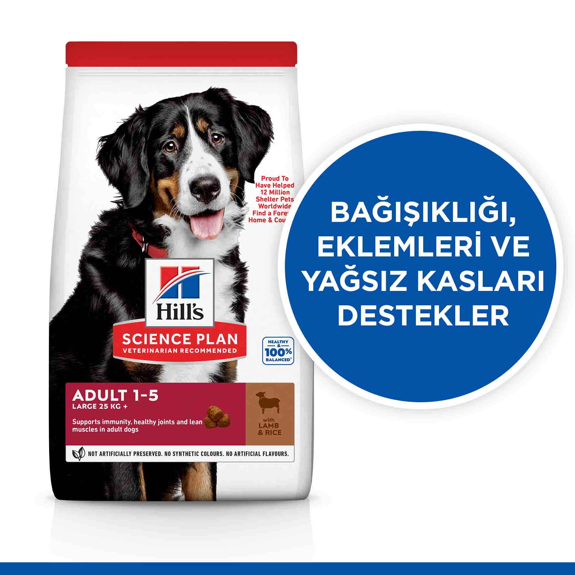 Hills Kuzu Eti ve Pirinçli Büyük Irk Yetişkin Köpek Maması 14kg