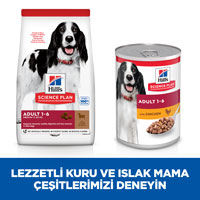 Hills Kuzu Eti ve Pirinçli Orta Irk Yetişkin Köpek Maması 2,5kg - Thumbnail