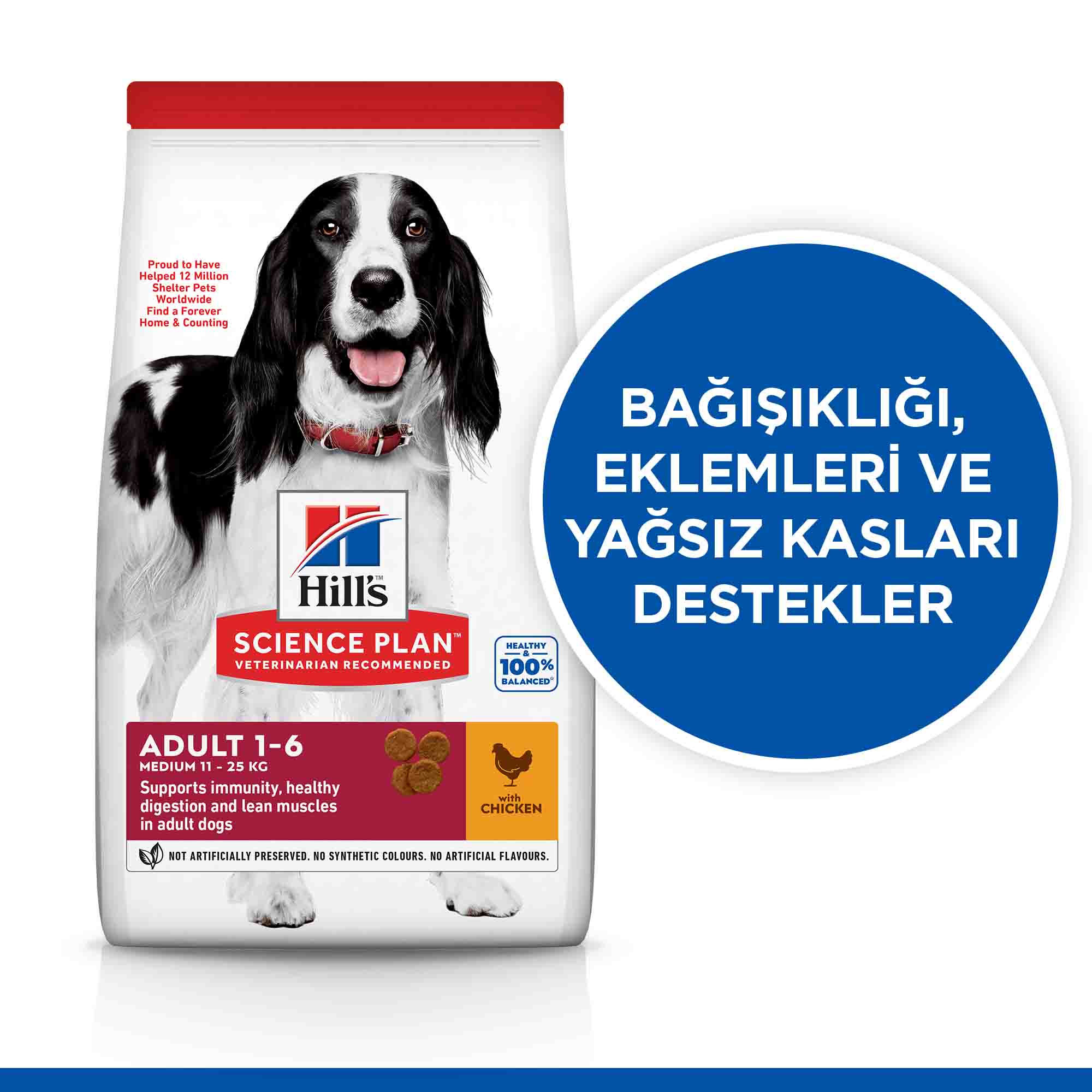 Hills Tavuklu Orta Irk Yetişkin Köpek Maması 2,5kg